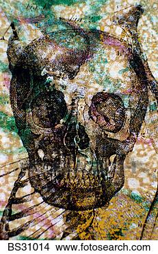 Stock Photo - monoprint of a 
human skull. fotosearch 
- search stock 
photos, pictures, 
images, and photo 
clipart