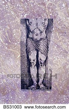 Stock Photo - monoprint of human 
torso and legs. 
fotosearch - search 
stock photos, 
pictures, images, 
and photo clipart
