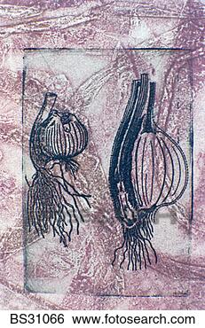 Stock Photo - monoprint of plant 
bulbs. fotosearch 
- search stock 
photos, pictures, 
images, and photo 
clipart