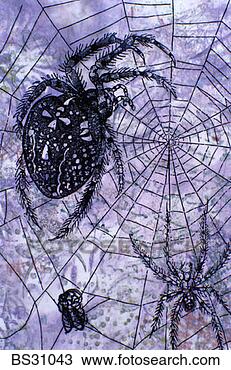 Stock Photo - monoprint of spiders 
on a web. fotosearch 
- search stock 
photos, pictures, 
images, and photo 
clipart