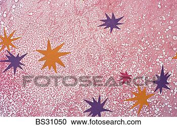 Stock Photography - star shape and 
bubble background. 
fotosearch - search 
stock photos, 
pictures, images, 
and photo clipart