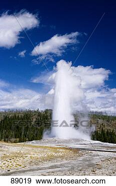 Stock Photograph - old faithful geyser 
erupting. fotosearch 
- search stock 
photos, pictures, 
images, and photo 
clipart