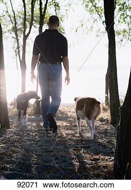 Stock Photography - man walking with 
rottweiler and 
mixed-breed dog. 
fotosearch - search 
stock photos, 
pictures, images, 
and photo clipart