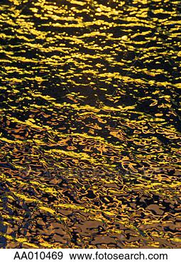 Stock Photograph - gold water surface. 
fotosearch - search 
stock photos, 
pictures, images, 
and photo clipart