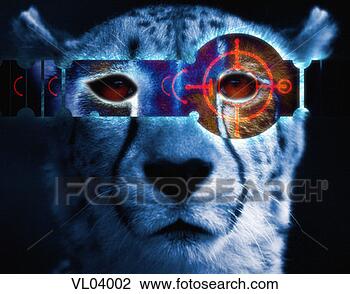 Clip Art - cheetah. fotosearch 
- search clipart, 
illustration, 
drawings and vector 
eps graphics images