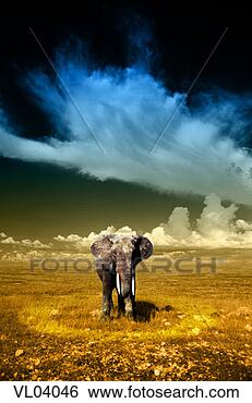 Stock Illustration - elephant on the 
plain. fotosearch 
- search clipart, 
illustration, 
drawings and vector 
eps graphics images