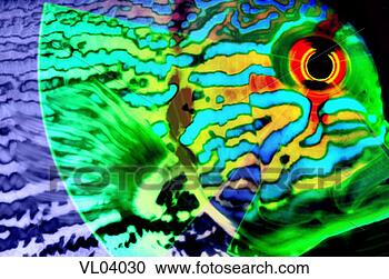 Stock Illustration - fish. fotosearch 
- search clipart, 
illustration, 
drawings and vector 
eps graphics images