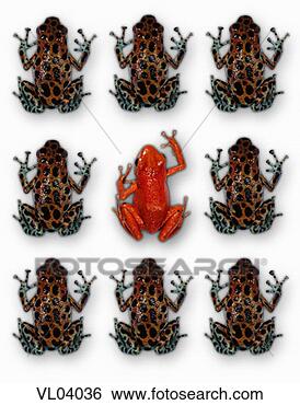 Stock Illustration - frogs. fotosearch 
- search clipart, 
illustration, 
drawings and vector 
eps graphics images