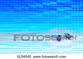 Stock Illustration - scarlet and green 
winged macaws. 
fotosearch - search 
clipart, illustration, 
drawings and vector 
eps graphics images