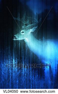 Stock Illustration - white-tailed deer. 
fotosearch - search 
clipart, illustration, 
drawings and vector 
eps graphics images