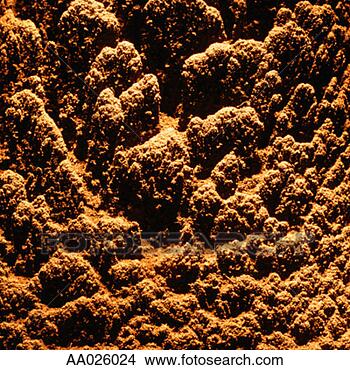 Stock Photo - backgrounds, indoors, 
close-up, abstract. 
fotosearch - search 
stock photos, 
pictures, images, 
and photo clipart