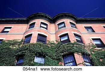 ivy-apartment-block_~054na1.jpg