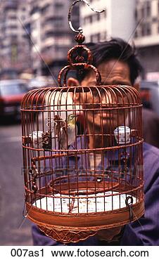 Stock Photography - man holding a 
caged songbird 
hong kong. fotosearch 
- search stock 
photos, pictures, 
images, and photo 
clipart