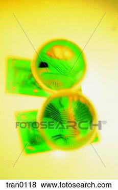 Hazır Fotoğraf - devre,   sahne, 
  aydinlatmak, 
  elektronik, 
  küreler,   yüce. 
fotosearch - foto, 
resim, görüntü 
ve foto klipart 
ara