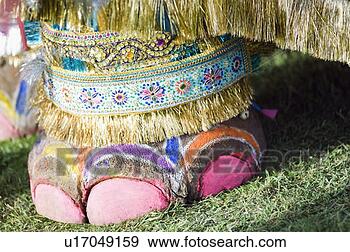 Stock Photograph - close-up of an 
elephant's painted 
leg, jaipur, rajasthan, 
india. fotosearch 
- search stock 
photos, pictures, 
images, and photo 
clipart