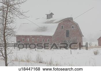 Stock Photo - derelict barn 
on farm in alberta 
canada. fotosearch 
- search stock 
photos, pictures, 
images, and photo 
clipart