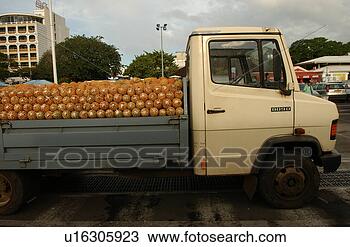 Stock Photo - a truck loaded 
with pineapples, 
 papeete,  tahiti, 
 french polynesia. 
fotosearch - search 
stock photos, 
pictures, images, 
and photo clipart