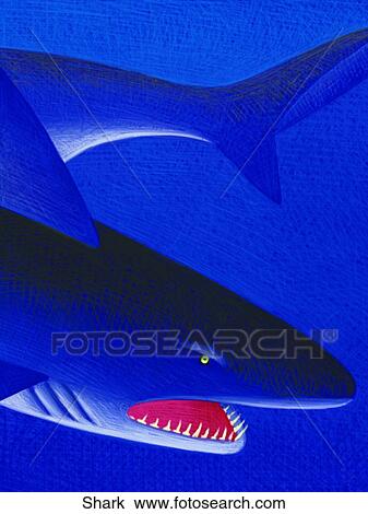 手绘图 - 鲨鱼 Shark - 抽象图像及影像 - Shark.