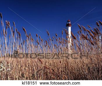 摄影图库 - 1990s, 灯塔, 斗篷祝, 点, 新泽西